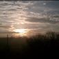 Morning